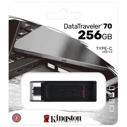 Kingston DataTraveler, 256GB USB-C Flash Drive (OEM)